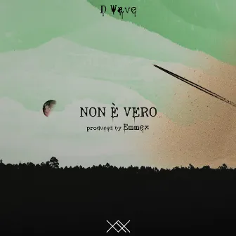 Non è vero by D Wave