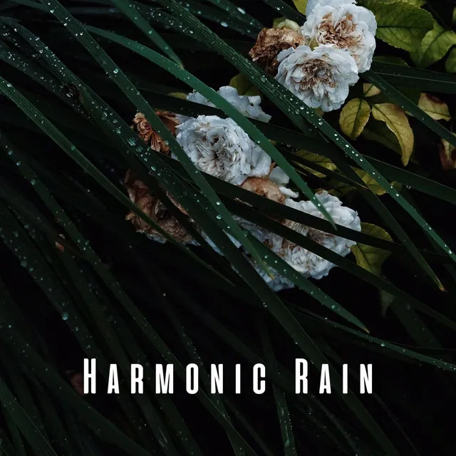 Harmonic Rain: Massage Enchantment with Crystal Singing Bowl