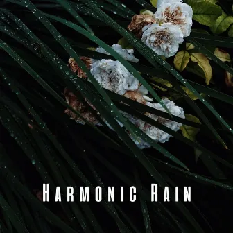 Harmonic Rain: Massage Enchantment with Crystal Singing Bowl by Massage Music: Native American Flute