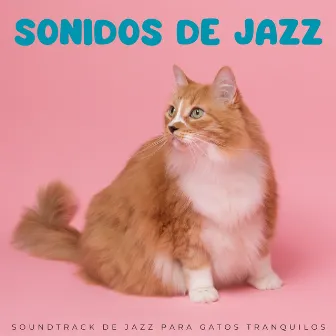 Sonidos De Jazz: Soundtrack De Jazz Para Gatos Tranquilos by Música Jazz De Fondo