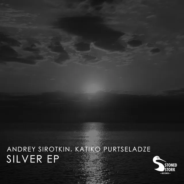 Silver - Radio Edit