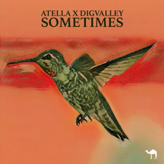 Sometimes by Digvalley