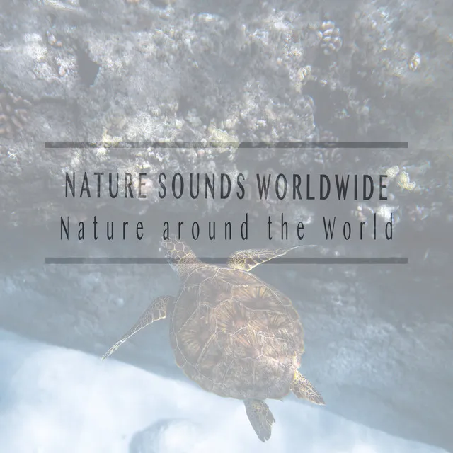 Nature Around the World