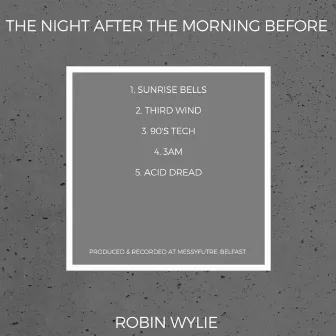 The Night After The Morning Before by Robin Wylie