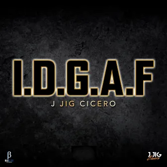 IDGAF Clean (Radio Edit) by J Jig Cicero