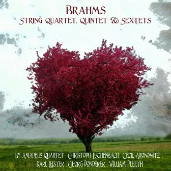 Brahms: String Quartet, Quintet & Sextet by William Pleeth