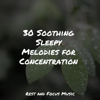 30 Soothing Sleepy Melodies for Concentration by Childrens Music