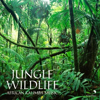 Jungle Wildlife (African Kalimba Music) by Africa Music