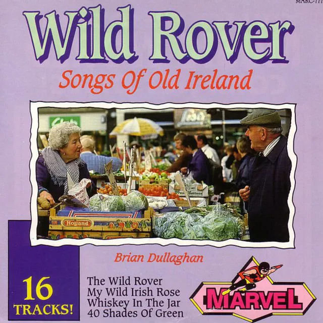 Wild Rover - Songs Of Old Ireland