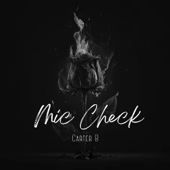 Mic Check by Carter B