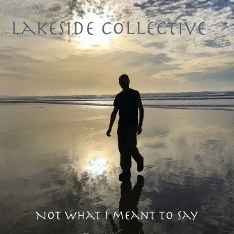 Not what I meant to say by Lakeside Collective