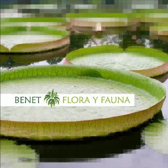 Flora Y Fauna by Benet