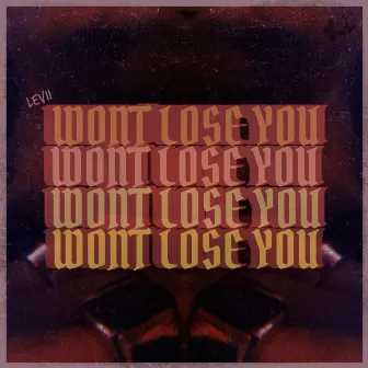 Won't Lose You by Levii