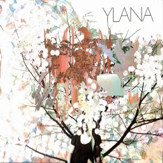 Ylana by Ylana