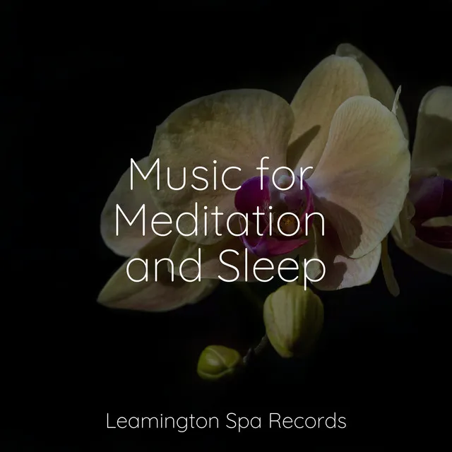 Music for Meditation and Sleep