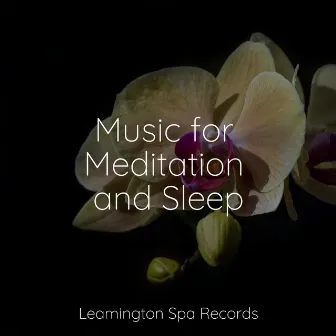 Music for Meditation and Sleep by Musica para Massagem Especialistas