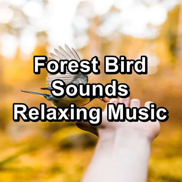 Tropical Birds Sounds