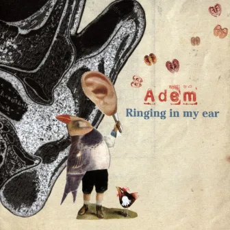 Ringing In My Ear by Adem