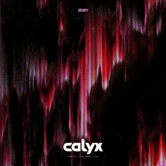 Tempest / You Want It All by Calyx