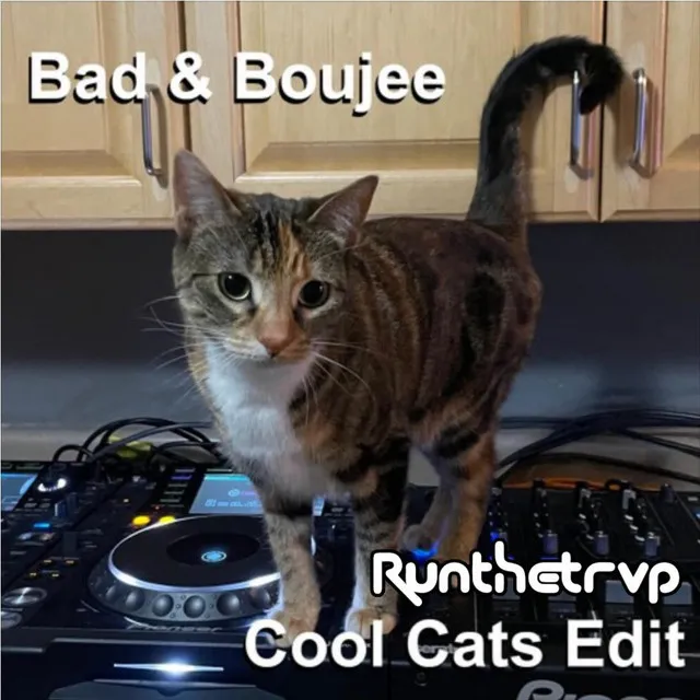 Bad and Boujee - Runthetrvp Cool Cats Edit