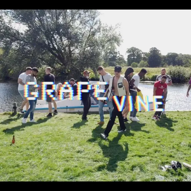 Grapevine