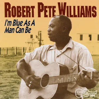 I'm Blue as a Man Can Be by Robert Pete Williams