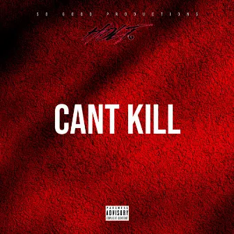 Can't Kill by Holt