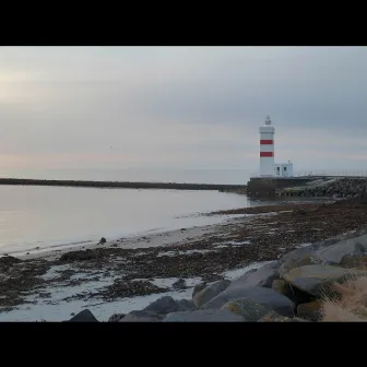 Into the Light (English version of Söknuður 1977) by Edgar Smári