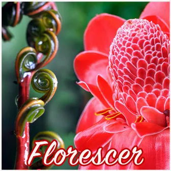 Florescer by Laksmi