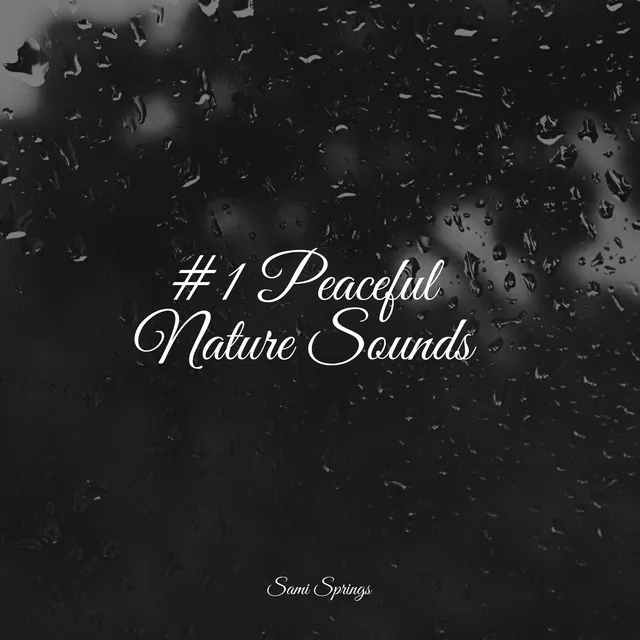 #1 Peaceful Nature Sounds