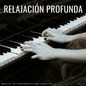 Relajación Profunda: Música De Contemplación Curativa Vol. 1 by Ruidos Relajantes