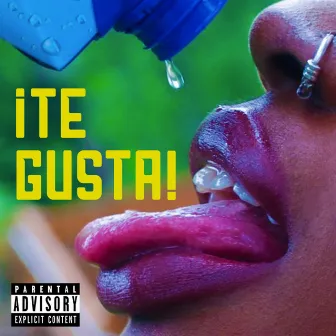 Te Gusta! by YUNG LYSOL