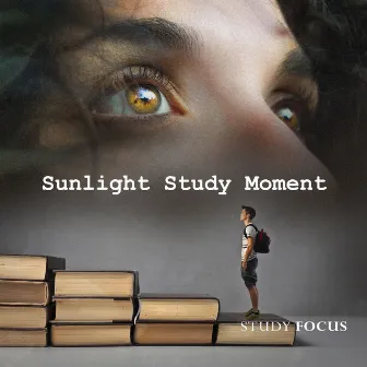 Sunlight Study Moment by Study Focus