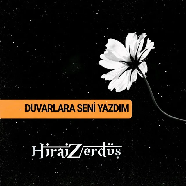 Duvarlara Seni Yazdım