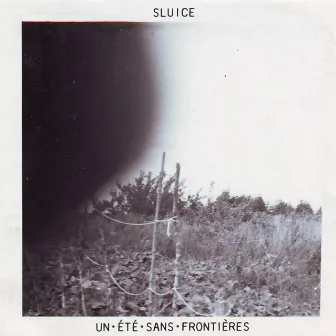 Un été sans frontières by Sluice