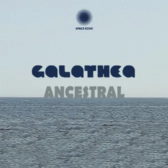 Ancestral by Galathea