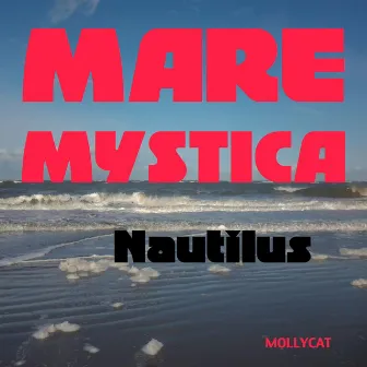 Nautilus by Mare Mystica