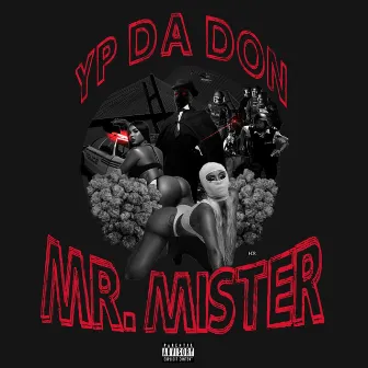 Mr.Mister by Yp daDON