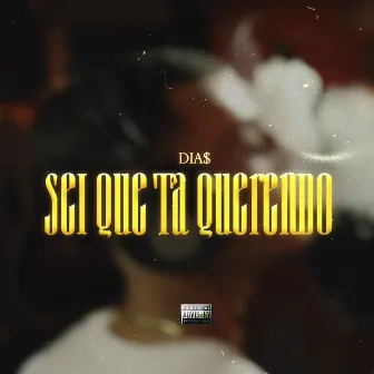 Sei Que Tá Querendo by Dia$