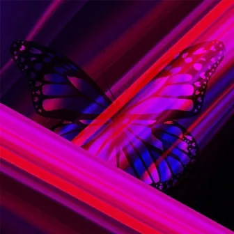 Butterfly Effect by Killo