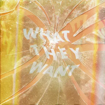 What They Want by Denzel The Sage