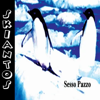 Sesso Pazzo - Unplugged by Skiantos