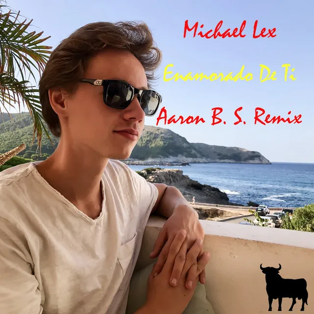 Enamorado De Ti - Aaron B. S. Remix