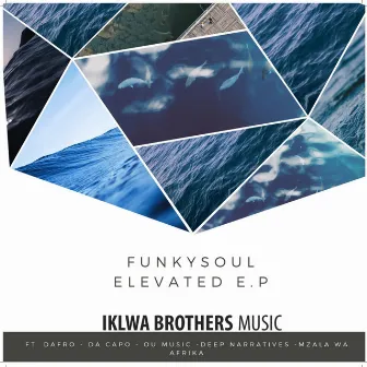 ELEVATED EP by FunkySoul