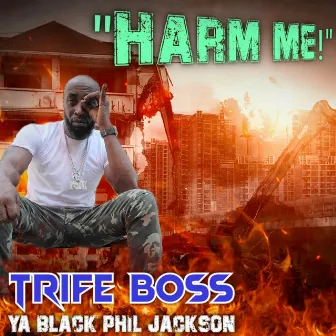 Harm Me by Trife Boss