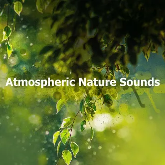 Atmospheric Nature Sounds by Nature Hub