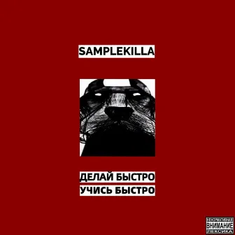 Делай быстро, учись быстро by Samplekilla