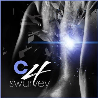 C4 by Swurvey