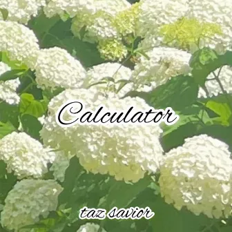 Calculator by Taz Savior