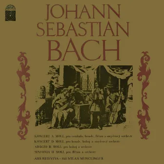 Bach: Concertos by Vaclav Snitil